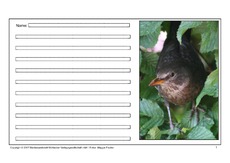 Amsel-eigene-Texte-1.pdf